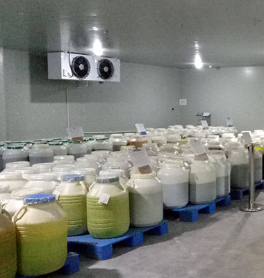 哈哈体育冷库工程设计施工，，，，，厂家支持有优惠_哈哈体育