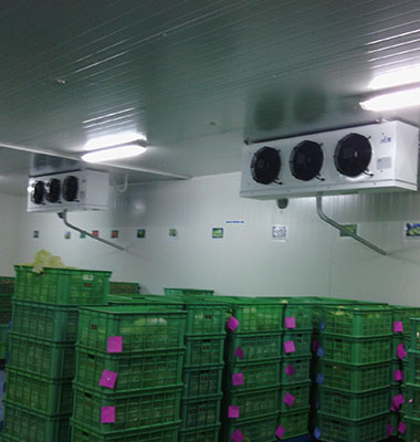哈哈体育冷库工程设计施工，，，，，厂家支持有优惠_哈哈体育