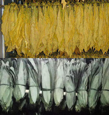 哈哈体育中烘干工程设计施工，，厂家支持有优惠_哈哈体育