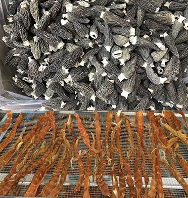 哈哈体育中烘干工程设计施工，，厂家支持有优惠_哈哈体育