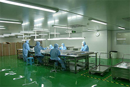 玩具厂流水线车间建设清洁厂房方案