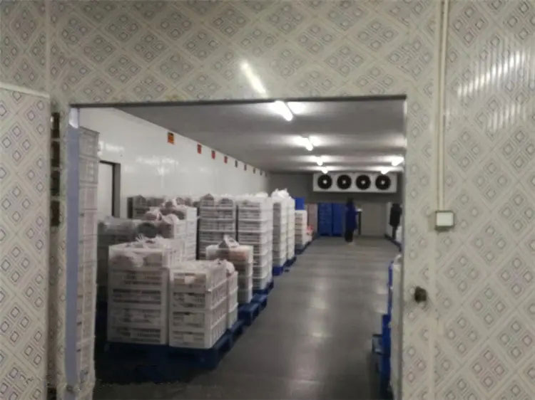 图为哈哈体育工程制作的冷库